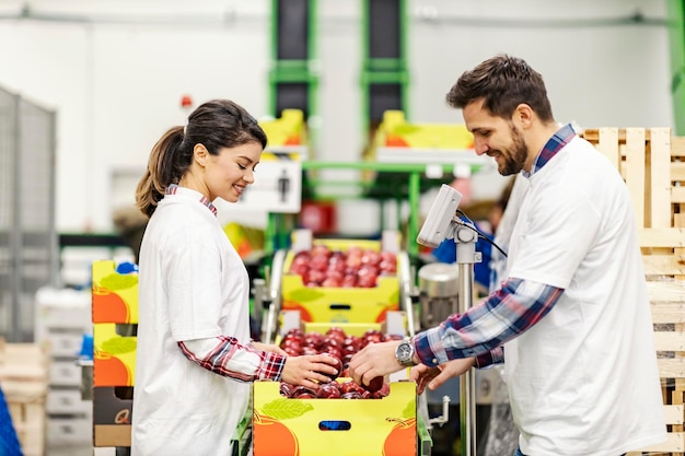 Twee werknemers meten appels in kratten op schalen in de fabriek