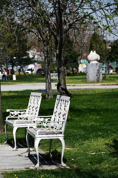 Foto twee witte fauteuils op het stadsplein prachtige fauteuils met opengewerkte metalen armleuningen