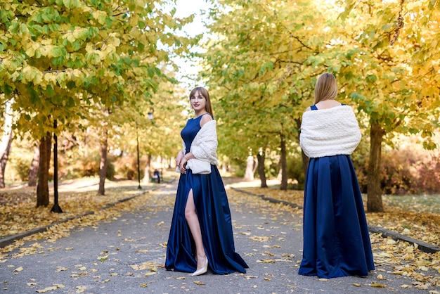 Twee zeer mooie jonge dames in modieuze blauwe jurken in herfst park.