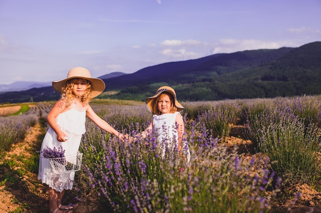 Twee zusjes verzamelen lavendelbloemen in een veld bij het dorp