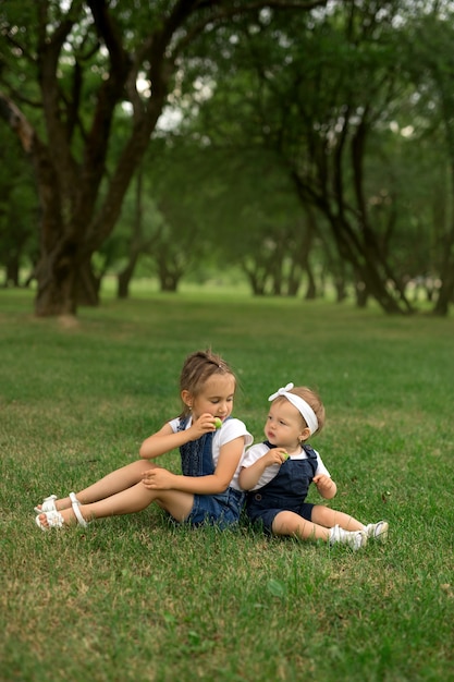 Twee zussen zitten in het park op het gras en eten appels