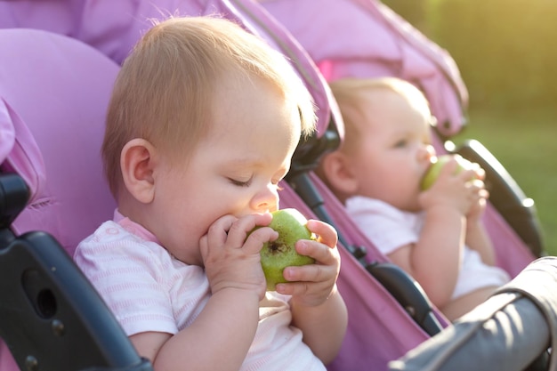 Tweelingen in een kinderwagen op een wandeling met appels.