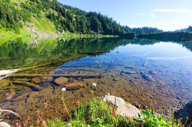 Tweelingmeren in het recreatiegebied Mt.Baker, Washington, VS