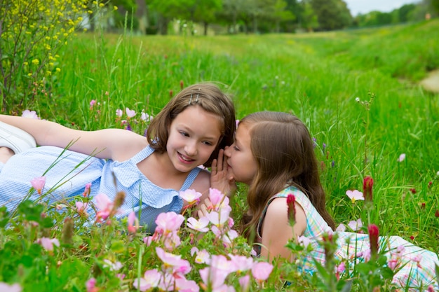 tweelingzusjes oor fluisteren op lente bloemen weide