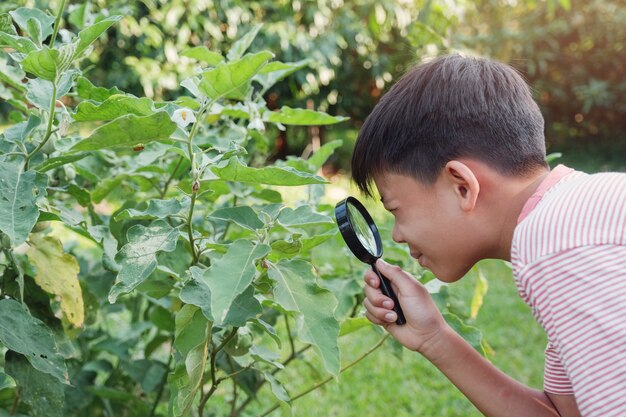 虫眼鏡、モンテッソーリのホームスクール教育、植物の病理学を通して葉を見てトゥイーンアジアの少年