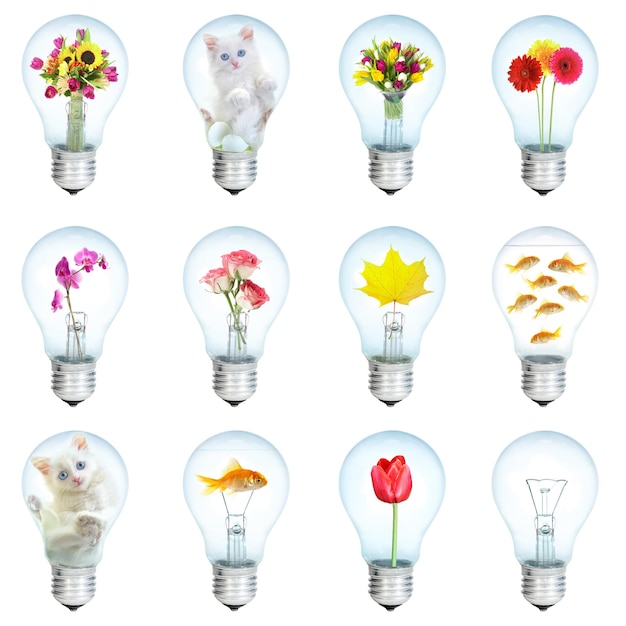 Photo twelve electric bulbs on a white background