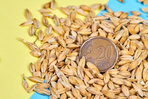 Twenty cent euro coin in barley grains on a yellow-blue background