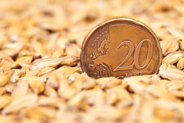 Twenty cent euro coin in barley grains