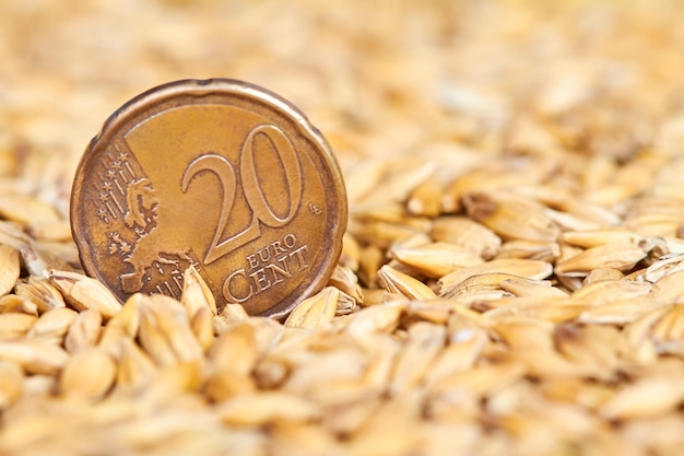 Twenty cent euro coin in barley grains