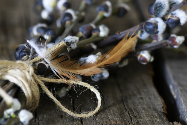 Twig willow wood background