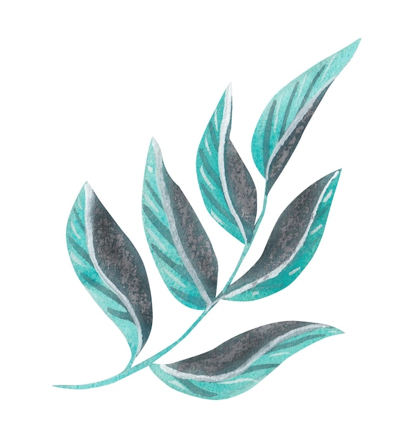 Twig with blue leaves on a white background watercolor illustration