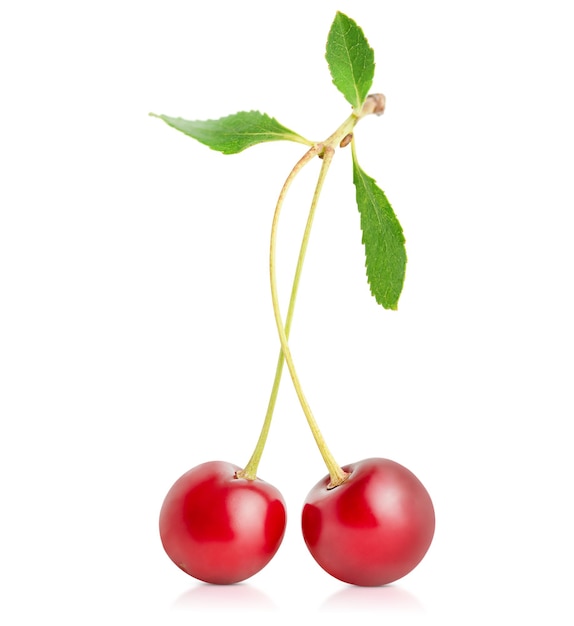 Twig with cherry on a white isolated background