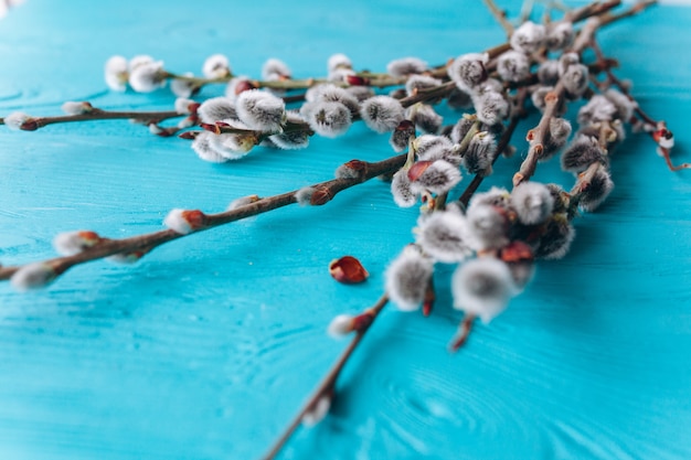 twigs on a wooden background