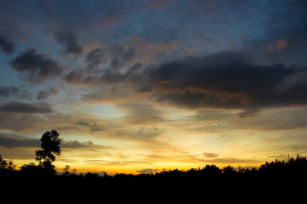 Twilight sky en rainny clound met boom. Hoog geluidsniveau. Nachtelijke hemel met clound.