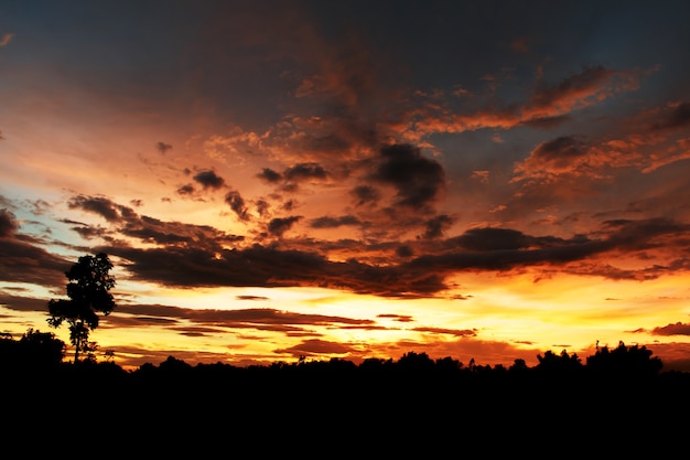 Twilight sky en regenachtige wolk met boom. Hoog geluidsniveau. Nachthemel met wolk.