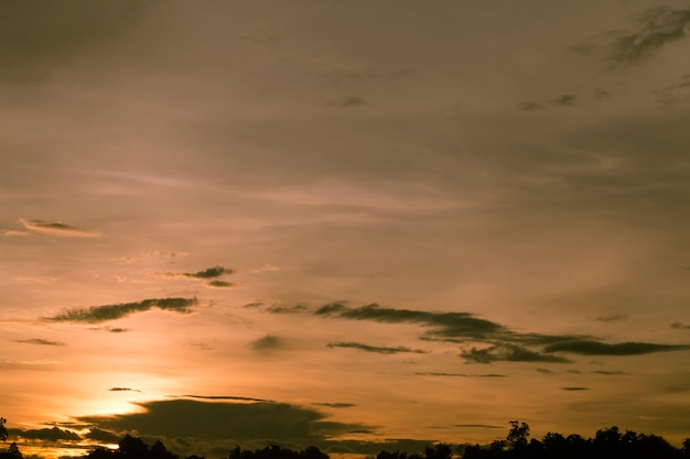 Twilight sky and rainy cloud with tree. High level of noise. Night sky with cloud.