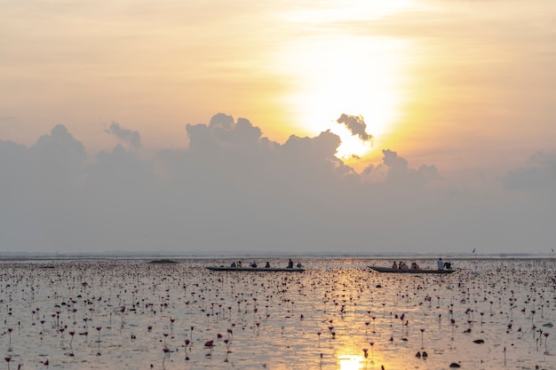 Twin lotus with sun rise