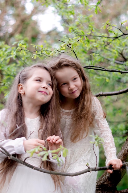 Two adorable six years old little girls wearing white festive dress playing in the spring park