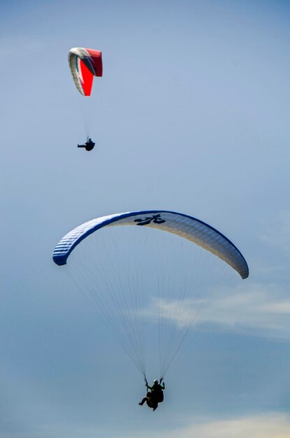 Two adventurous souls paraglide in a clear blue sky