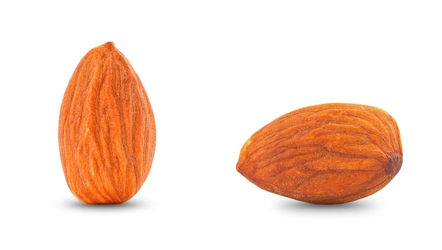 Two almonds on a white background