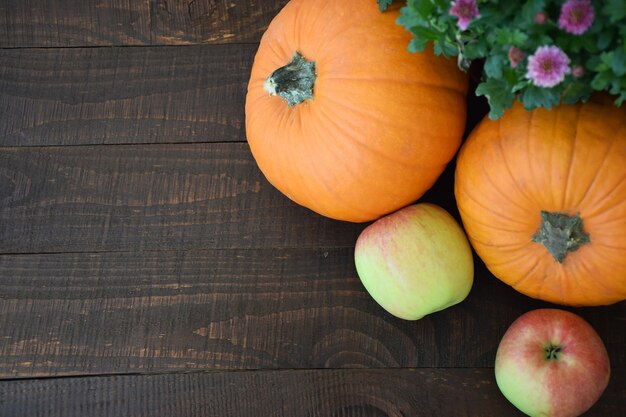 Two apples and two orange pumpkins on background of old brown wooden board. Autumn harvest, Thanksgiving Day concept.