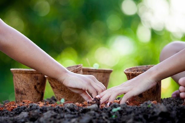 Two asian child girls planting young seedlings in recycle fiber pots together in the garden