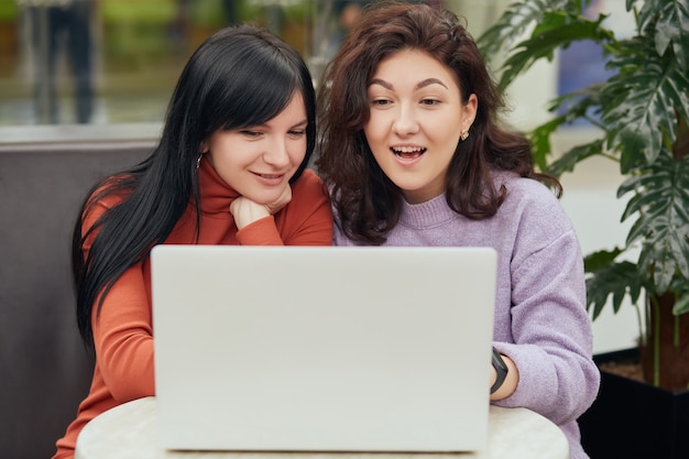 Two attractive astonished girls sitting in front of white laptop and checking sales results, being astonished and posing with surprised facial expressions.