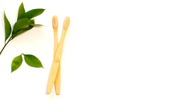 Two bamboo toothbrushes and a green sprig on a white background Eco concept