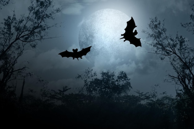 two bats flying in the night sky above a full moon scene is mysterious and scary