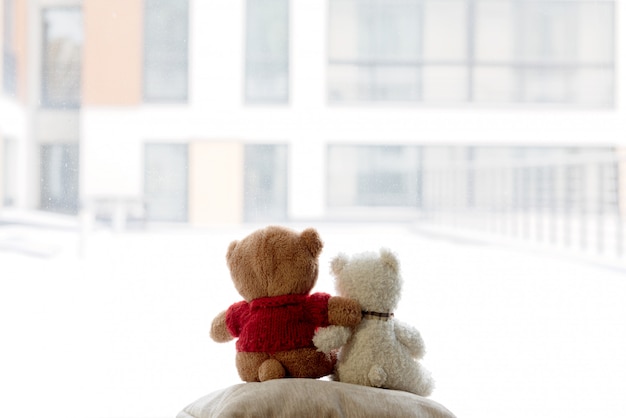 Two bear cubs embrace and look out of the window