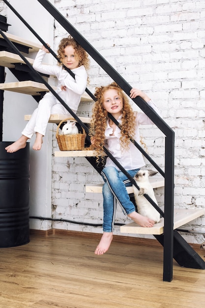 Two beautiful child girls with curly hair and fluffy rabbit animals are sitting on the stairs