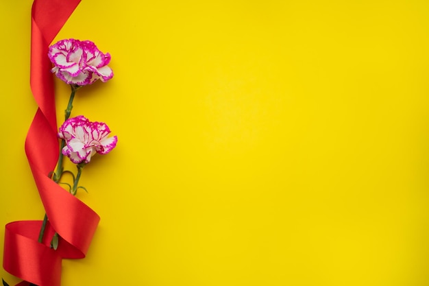 Due bellissimi fiori di garofano rosso rosa isolati su sfondo giallo con nastro rosso