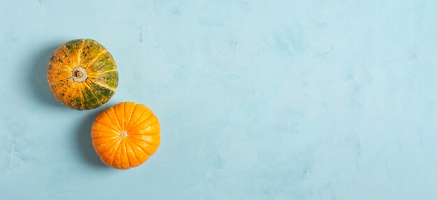 Two beautiful pumpkins lie on a blue surface