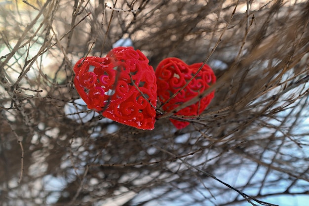 two beautiful red hearts hanging on a tree