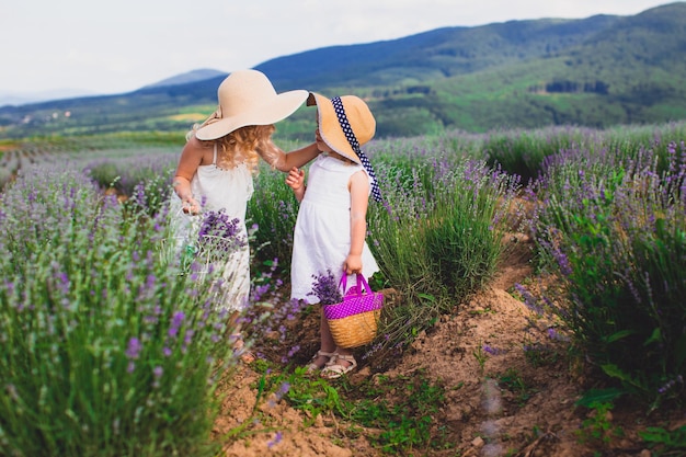 Two beautiful small girls communicate and collect flowers on a lavender field