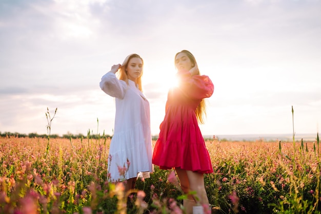 Two Beautiful woman in a field Nature fashion vacation and lifestyle