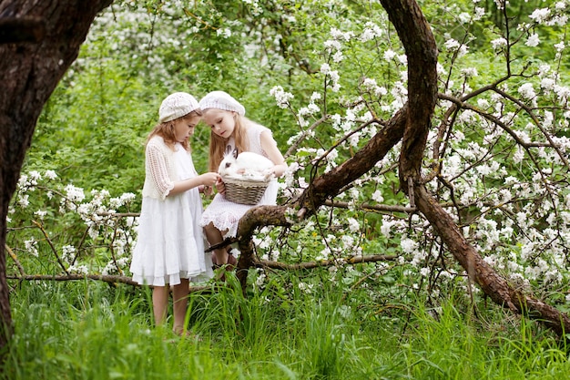 Две красивые молодые девушки играют с белым кроликом в весеннем цветущем саду. Весеннее развлечение для детей. Время пасхи