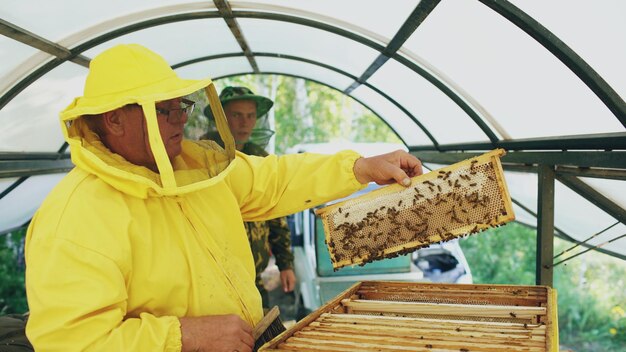 Photo two beekeepers checking frames and harvesting honey while working in apiary on summer day