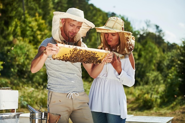 Two beekeepers works with honeycomb full of bees outdoors at sunny day. Man and woman.