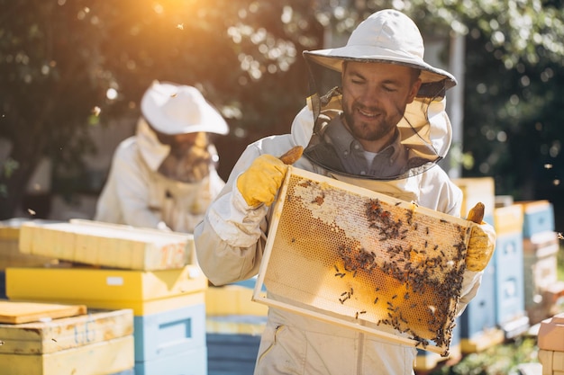 Due apicoltori lavorano con un nido d'ape pieno di api in uniforme protettiva che lavorano in una piccola fattoria di apicoltura ottenendo il nido d'ape dall'alveare in legno concetto di trasferimento dell'esperienza dell'apicoltura