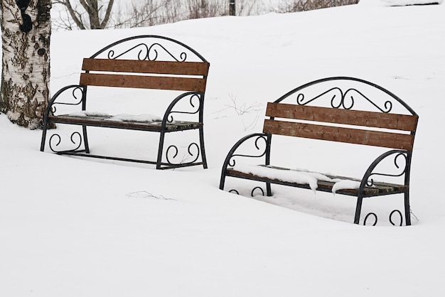 雪に覆われた冬の公園の2つのベンチ