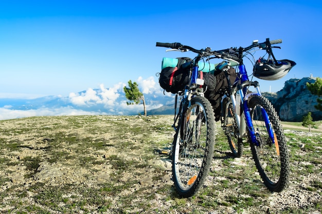 自然の中で2つの自転車