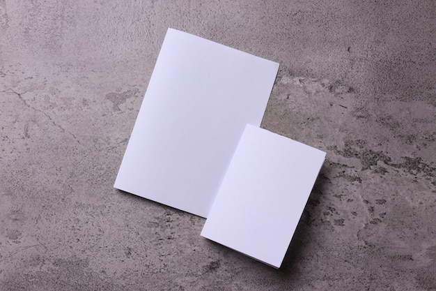 Two Blank Half Fold Brochure Template For Your Presentation over grey background.