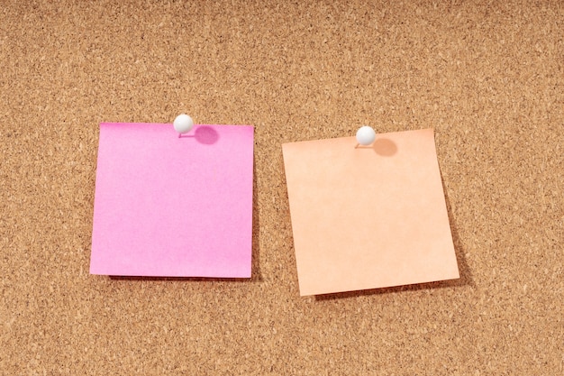 Two Blank note on a cork board for adding text and push pin