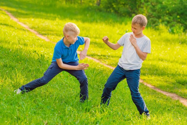 Photo two blond boys in blue and white tshirts fighting on the green grass