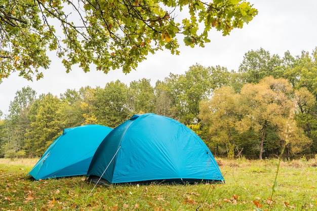 Two Blue Camping Tents Under the Tree at Camping Area in the Forest