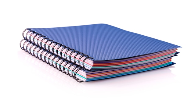 Two Blue  diary spiral notebookes