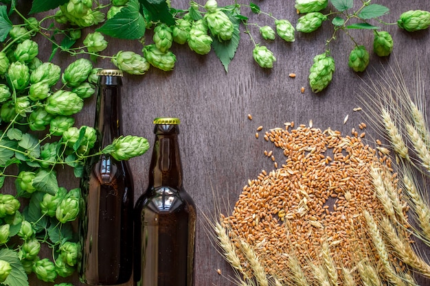 Due bottiglie di birra con grano e luppolo