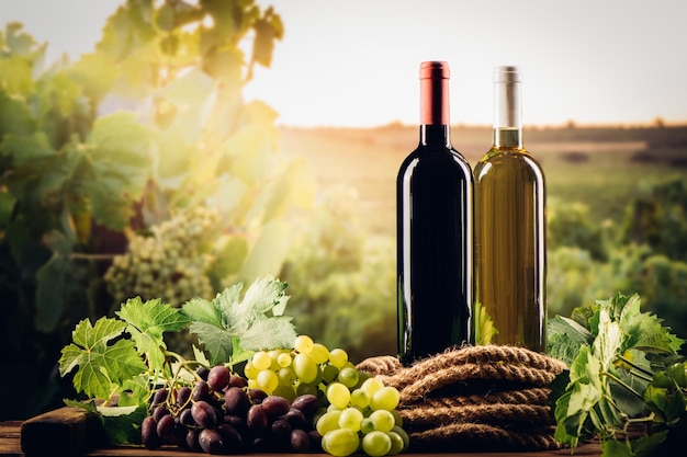 Two bottles of wines with vineyard on the background