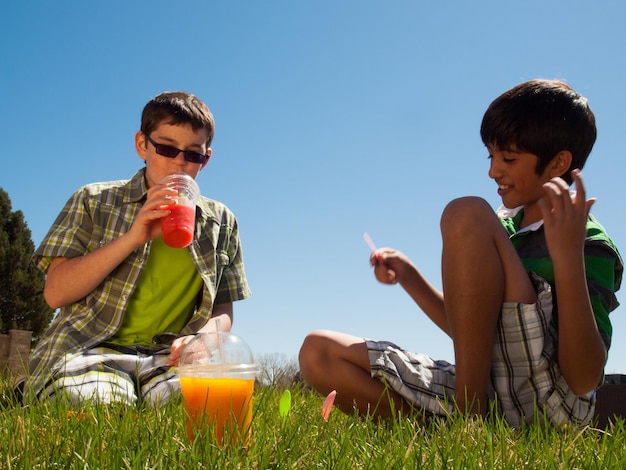 Two boys plaing on green grass.